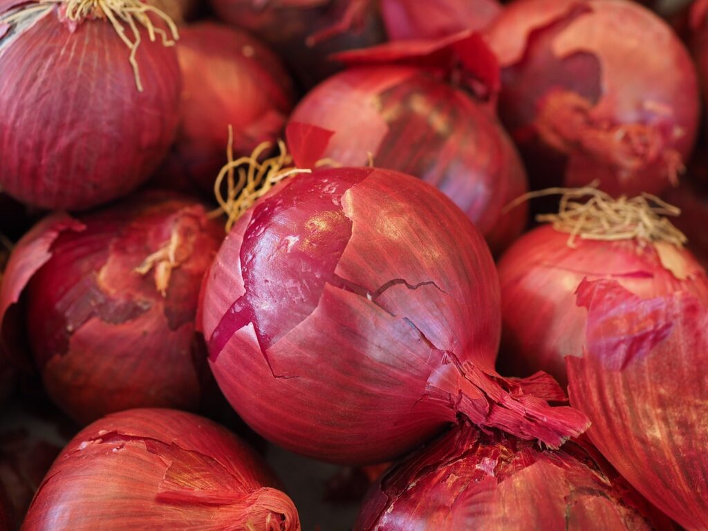 red vegetable onions, vegetable onion, onion-499066.jpg